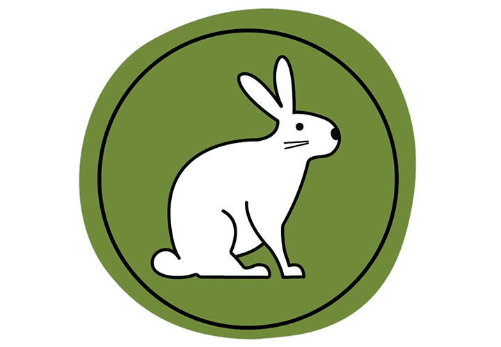 Ein Hase auf einem grünen Hintergrund