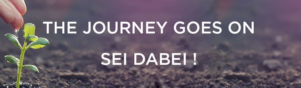 Ein Setzling mit dem Text The Journey goes on - sei dabei
